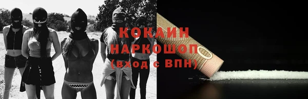 трава Наволоки