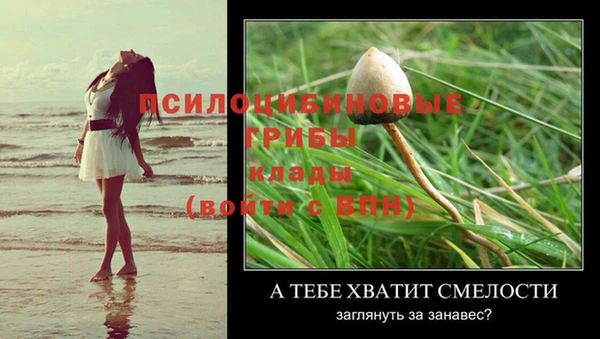 PSILOCYBIN Надым