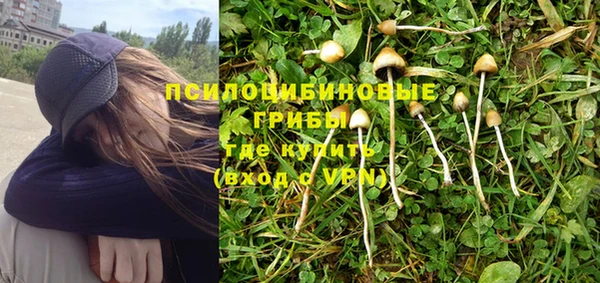 трава Наволоки