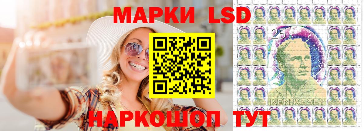 APVP Великий Новгород