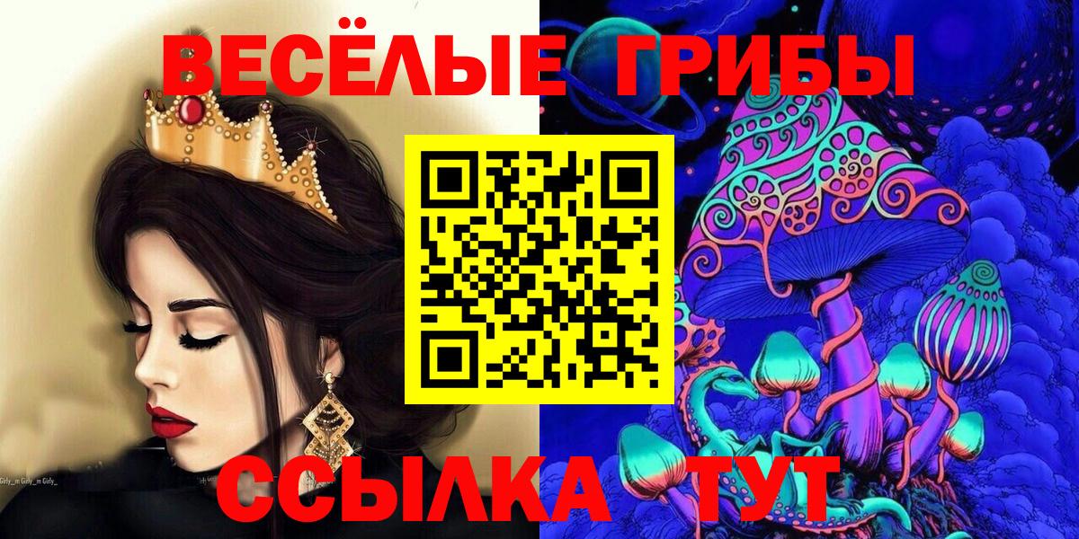 Великий Новгород  Галлюциногенные грибы Psilocybine cubensis  Вход с VPN 