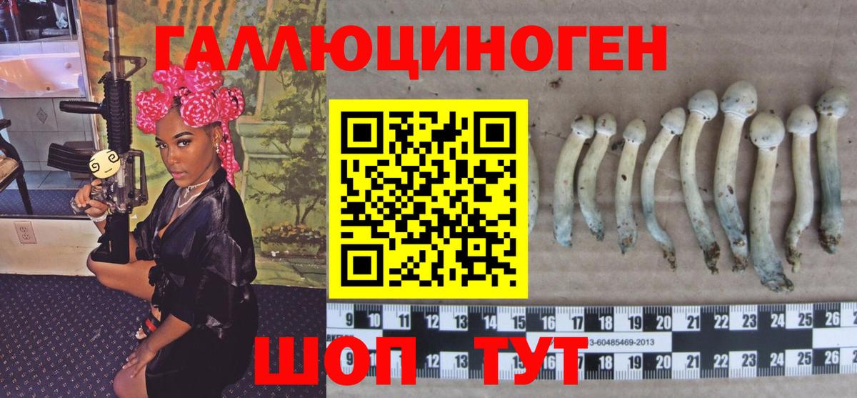 Галлюциногенные грибы GOLDEN TEACHER  Великий Новгород 