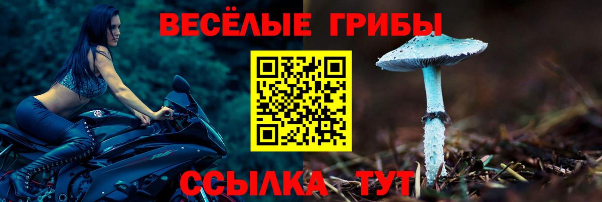 Галлюциногенные грибы MAGIC MUSHROOMS Великий Новгород